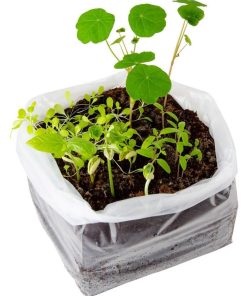 Kit de jardinage : L'Atelier Maxi Potager bio - N/A