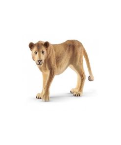 14825 Lionne - N/A
