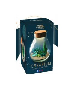 Kit Fimo Terrarium - N/A