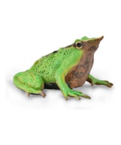 Figurine Préhistoire : Grenouille de Darwin - N/A