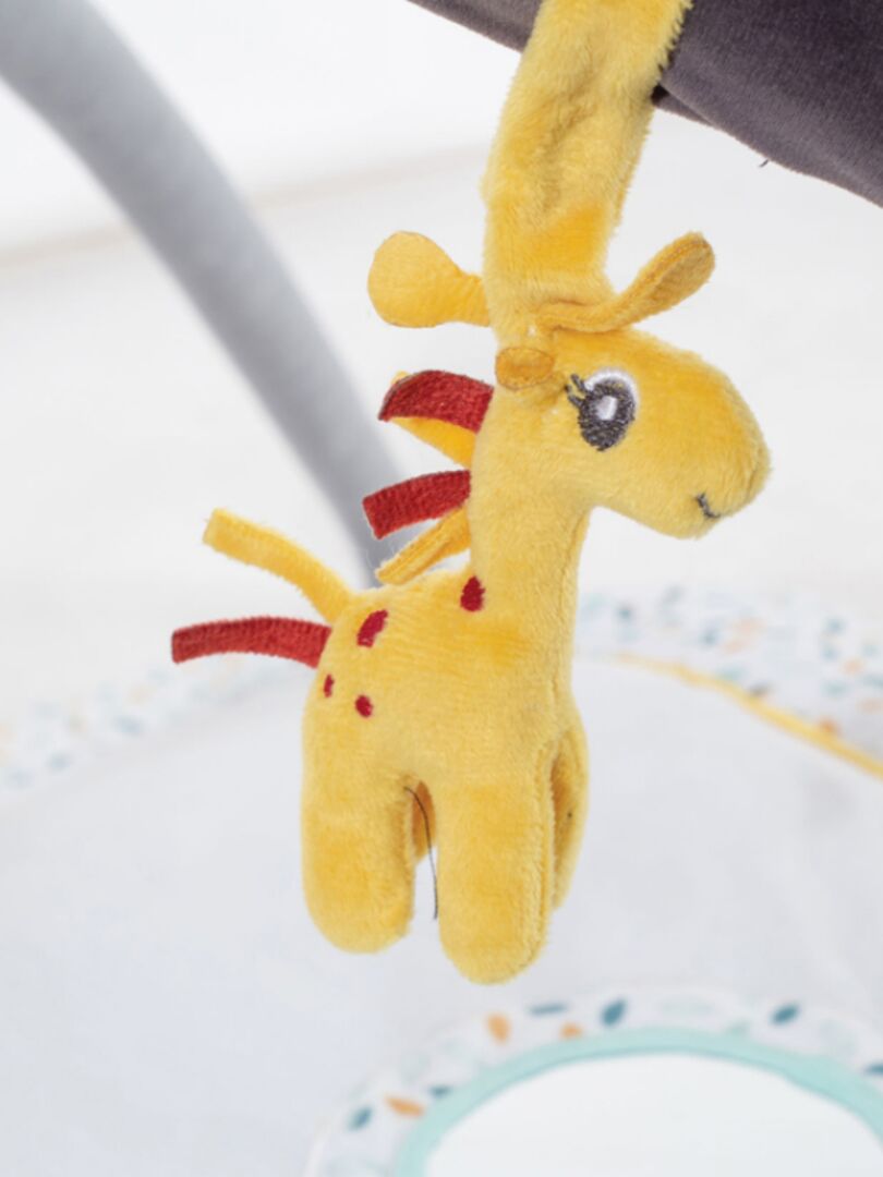 4A50661C-3B81-ADBA-52F4-7ED18662BF1D-1