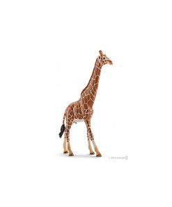 14749 Girafe Male - N/A