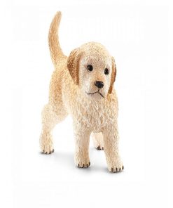 16396 Chiot Golden Retriever - N/A