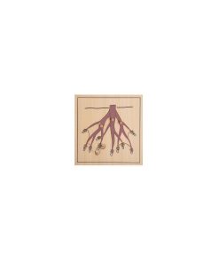 Puzzle Racine Haut De Gamme - N/A