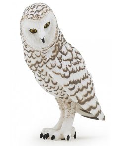 50167 Chouette Harfang Des Neiges - N/A