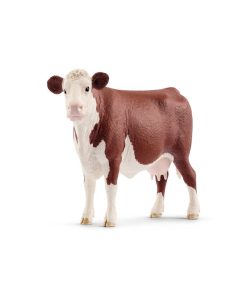 13867 Vache Hereford - N/A