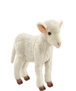 Agneau Blanc Peluche 28cm - Blanc