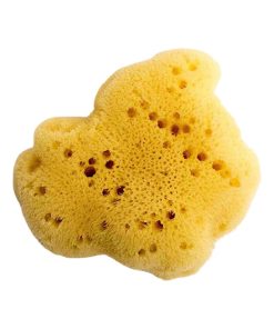 Éponge naturelle et écologique en soie fine - Beige