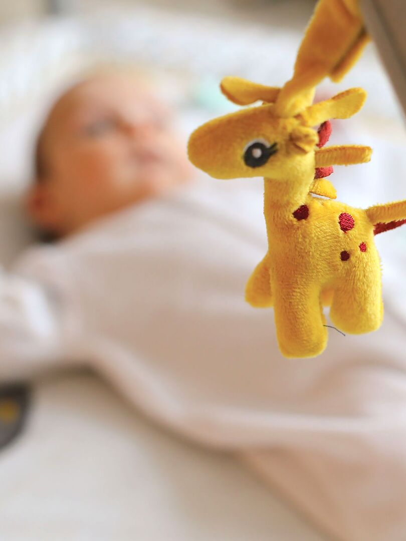 C63522DE-27D5-0D48-BD5E-C224AE6A01C9-4