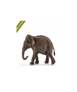 14753 Elephant Asie Femelle - N/A