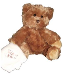 doudou Histoire d'ours Ours Marron HO1275 Pantin - Marron