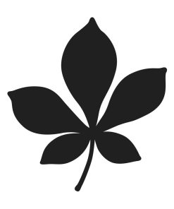 Matrices de découpe - Feuille de marronnier - N/A