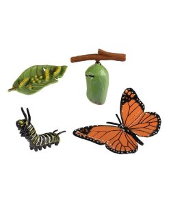 Cycle Papillon Monarque - N/A