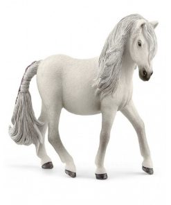 13942 Jument Islandaise Blanche - N/A