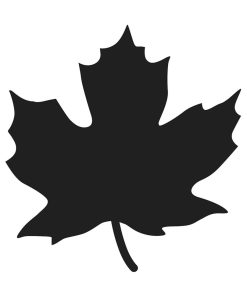 Matrices de découpe - Feuille d'érable - N/A