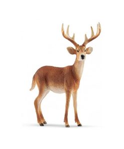 14818 Cerf De Virginie - N/A