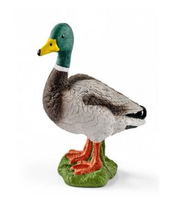 13824 Canard - N/A