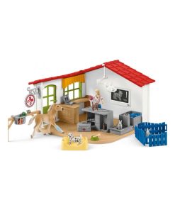 42502 Cabinet Veterinaire Avec Animaux De Compagnies - N/A