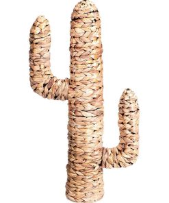 Cactus en jacinthe d'eau H80 - Beige