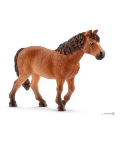 Ponette Dartmoor - N/A