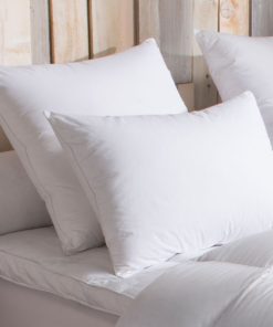 DODO - Oreiller 90% Duvet d'Oie MEDIUM - Blanc