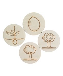 Cycle de vie Arbre en bois - N/A