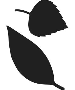 Matrices de découpe - Feuilles - N/A