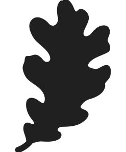 Matrices de découpe - Feuille de chêne 12 x 7,4 cm - N/A