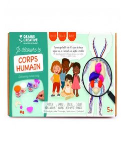 Kit Moulage Educatif Anatomie 320 X 186 X 90 Mm - N/A