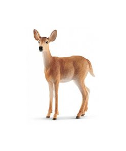 14819 Biche De Virginie - N/A