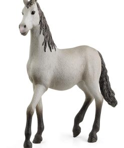 13924 Poulain Pure Race Espagnole - N/A