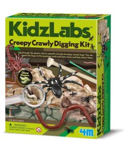 Découverte de la science - Kit des insectes rampants - N/A
