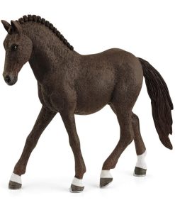 13926 Poney De Selle Allemand Hongre - N/A