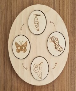 Cycle de vie papillon en bois - N/A