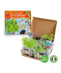 Kit Atelier Mini Potager - N/A