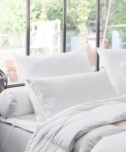 DODO - Oreiller naturel 90% duvet de Canard - Blanc