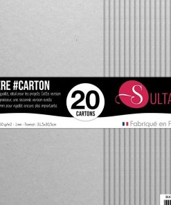 20 papiers Carton - Gris - 450g/m2 - H : 30,5 cm - N/A