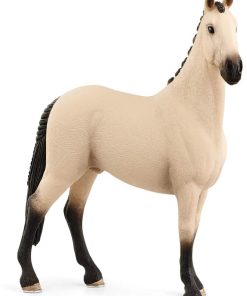 13928 Hongre Hanovrien Aubère - N/A