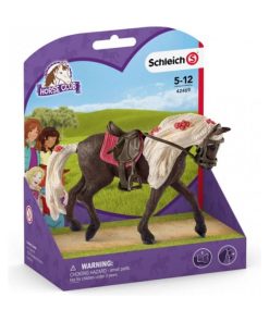 42469 Jument Rocky Mountain Horse Spectacle Equestre - N/A