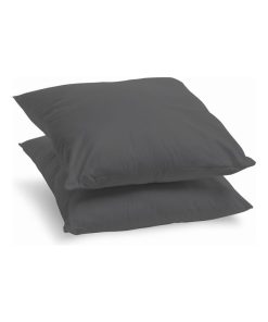 Bleu Câlin - Lot de 2 oreillers moelleux déco gris - N/A
