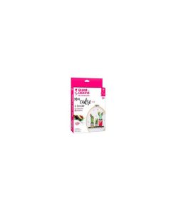 Kit Tambour A Broder Cactus En Bois - N/A