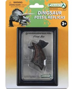 Coffret préhistorique : Premier Orteil de T-Rex (Réplique de fossile) - N/A