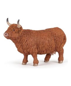 Vache Highland - N/A