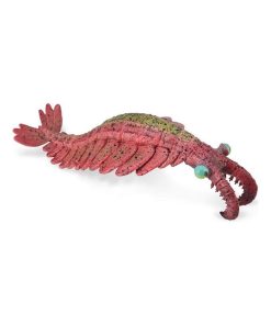 Figurine Préhistoire : Anomalocaris - N/A
