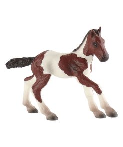 Figurine Cheval Paint Horse : Poulain - N/A