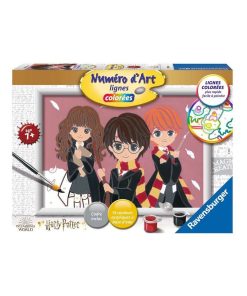 Numero D Art Lignes Colorees Portraits Harry Potter, Moyen Modele - N/A