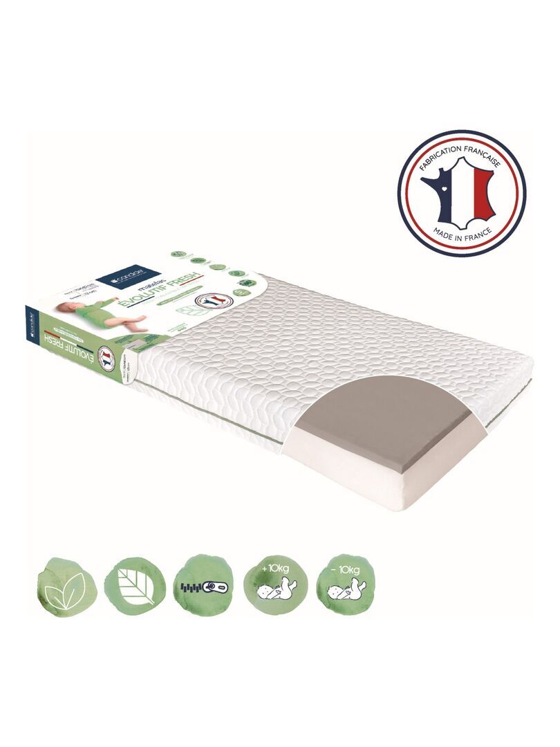 394E652E-9AD2-ED75-ECEF-75FD44A19316-5