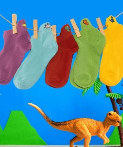 Coffret Chaussettes Dinosaure Enfants & Bébés (Lot x5)- Sockup- 9 à 12 ans - Multicolore