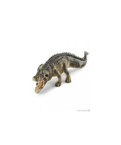 14727 Alligator - N/A