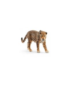 14769 Jaguar - N/A